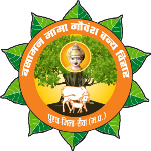 cropped-logo.png